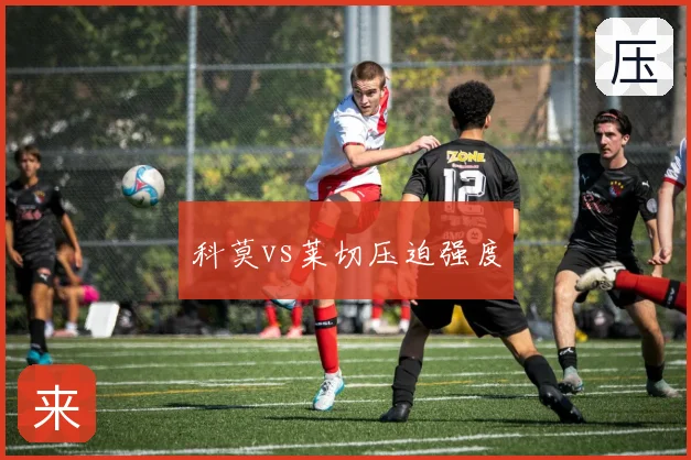 科莫vs莱切压迫强度